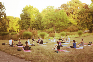 YiLP – Yoga im Luisenparkt Erfurt YiLP – Yoga im Luisenparkt Erfurt